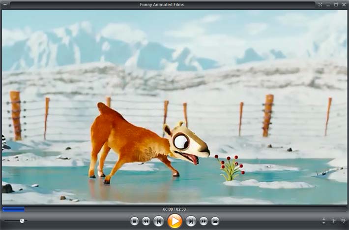Zoom Player