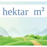 hektar m persegi