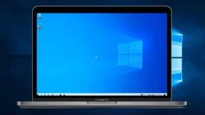 download windows 10 ltsc